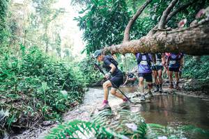 BIB: 
                            <button type="button" onclick="openModal(25460432)" class="btn btn-primary btn-sm float-right btn-popup" data-toggle="modal" data-target=".modal-high-quality">
                        <i class="fas fa-shopping-cart"></i> Add to Cart
                    </button>
                                            <button type="button" onclick="isThisMe(25460432, true)" class="btn btn-success btn-sm float-right btn-popup btn-isme hidden" data-toggle="tooltip" data-placement="bottom" title="นี่คือรูปของคุณใช่ไหม คลิกที่นี่เพื่อเอาเข้าอัลบั้ม">
                        <i class="fas fa-plus"></i> Add to album
                    </button>
                    <button type="button" onclick="isThisMe(25460432, false)" class="btn btn-warning btn-sm float-right btn-popup btn-isnotme hidden">
                        <i class="fas fa-ban"></i> Remove from album
                    </button>